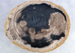 Beistelltisch Gamma Versteinertes Holz