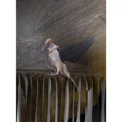 Bild Frame Gentleman Cuts 130X163Cm