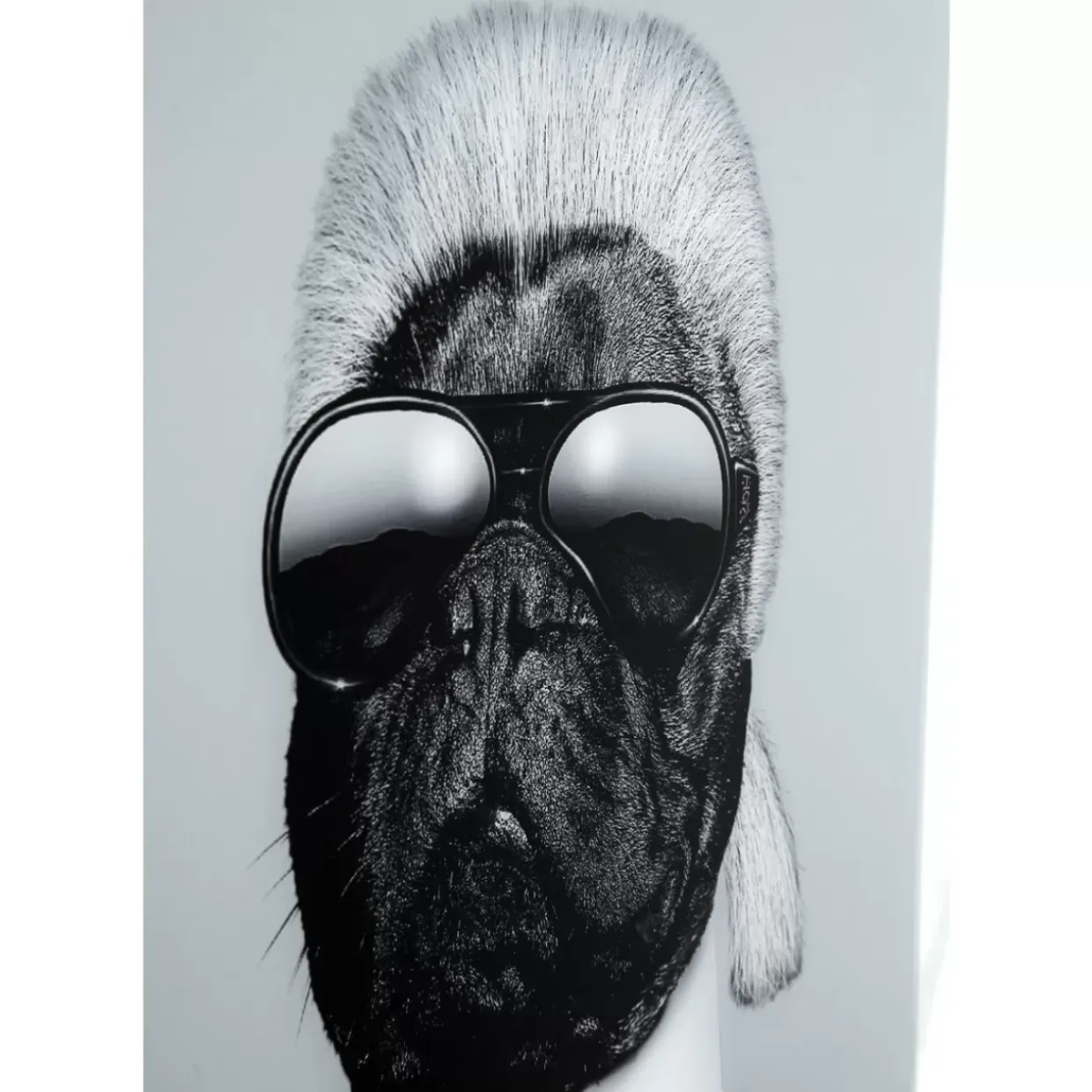 Bild Frame Mirror Designer Dog 60X60