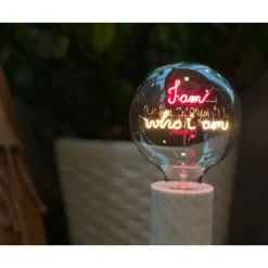 Birne "I Am Who I Am"