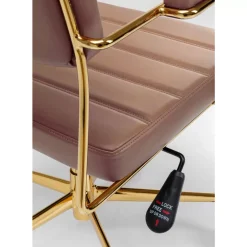 Burodrehstuhl Dottore Braun