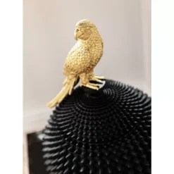 Deko Dose Parrot