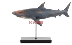 Deko Figur Shark Base