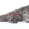 Deko Objekt Iguana 135Cm