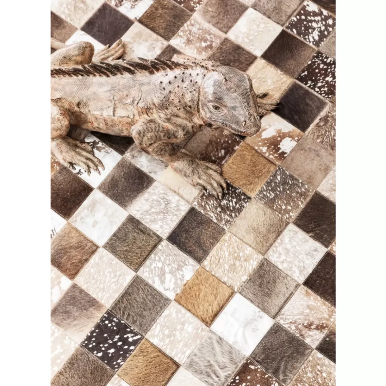 Deko Objekt Iguana 135Cm