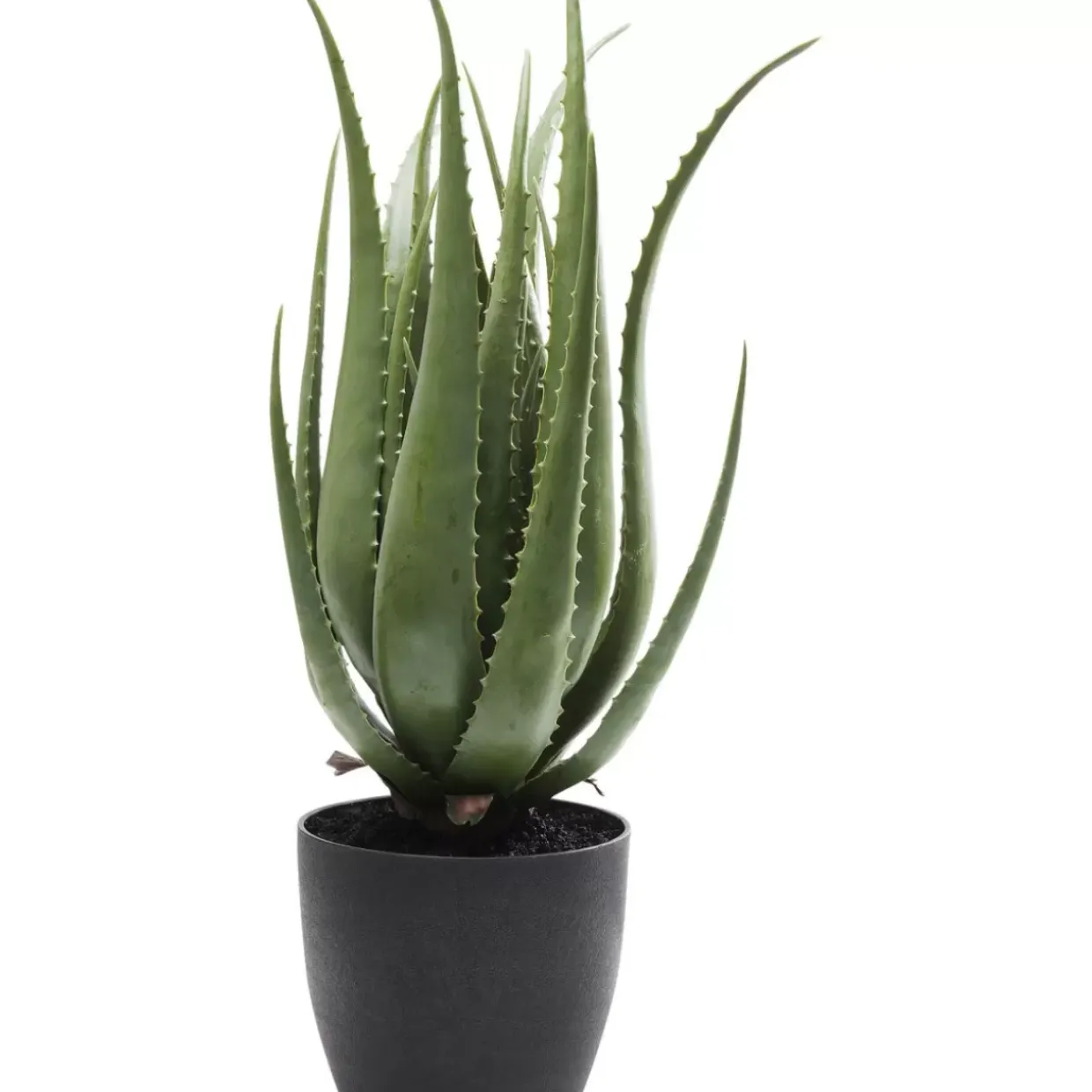 Deko Pflanze Aloe 69Cm