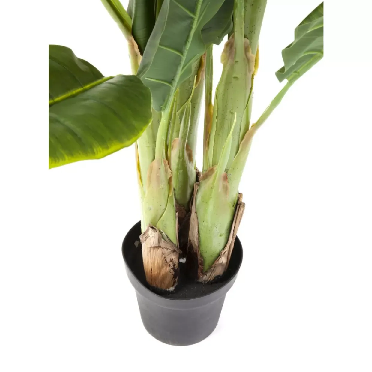 Deko Pflanze Banana Tree 180Cm