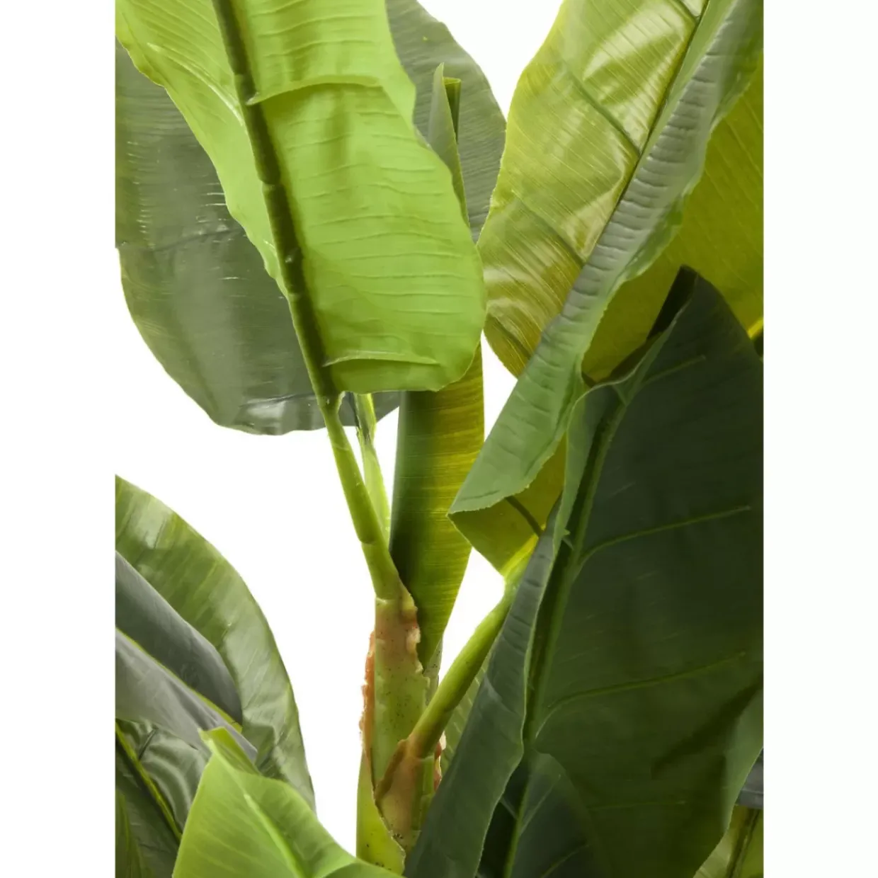 Deko Pflanze Banana Tree 180Cm