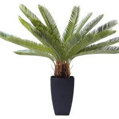Deko Pflanze Cycas Tree 78Cm