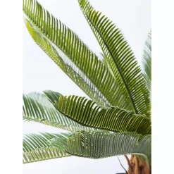 Deko Pflanze Cycas Tree 78Cm