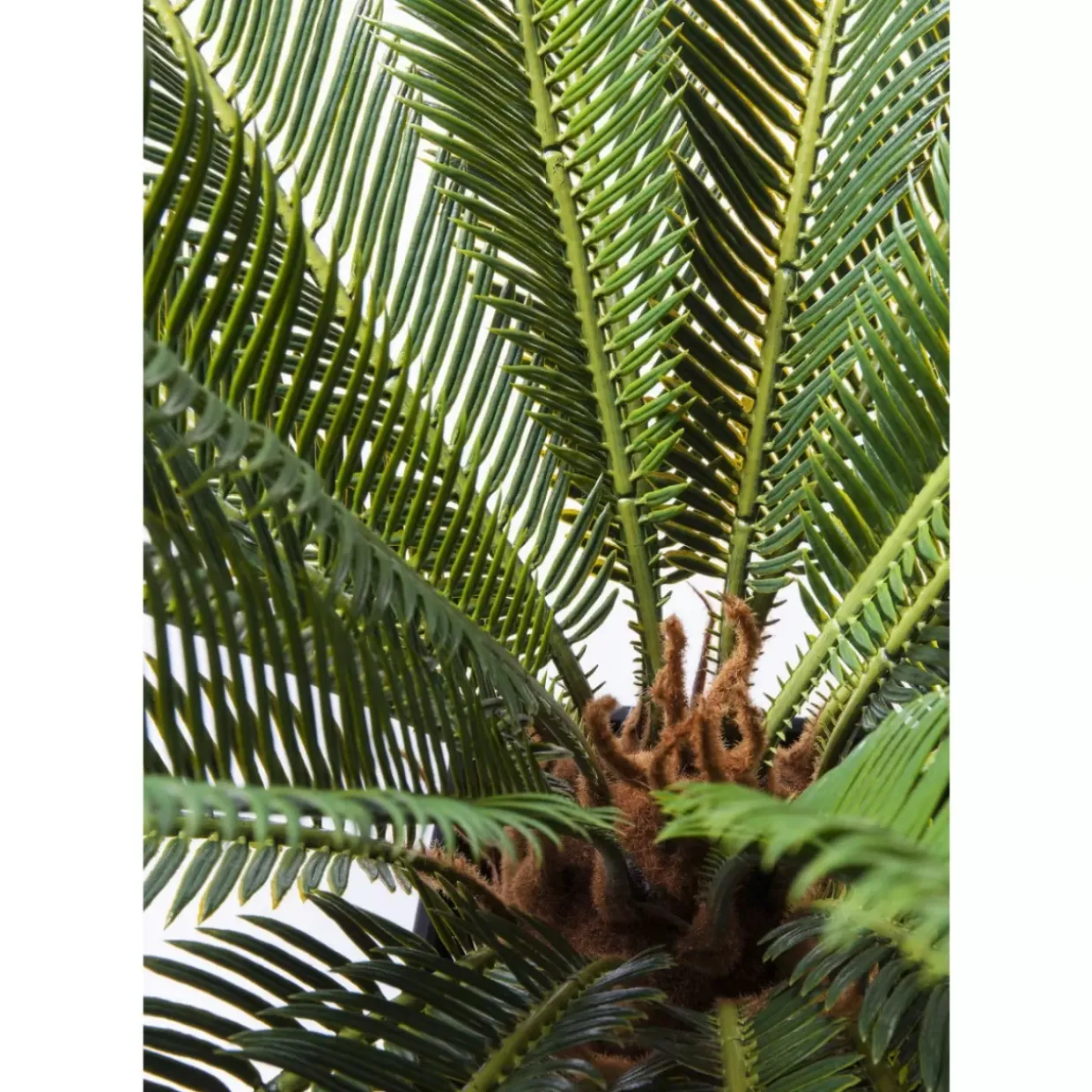 Deko Pflanze Cycas Tree 78Cm