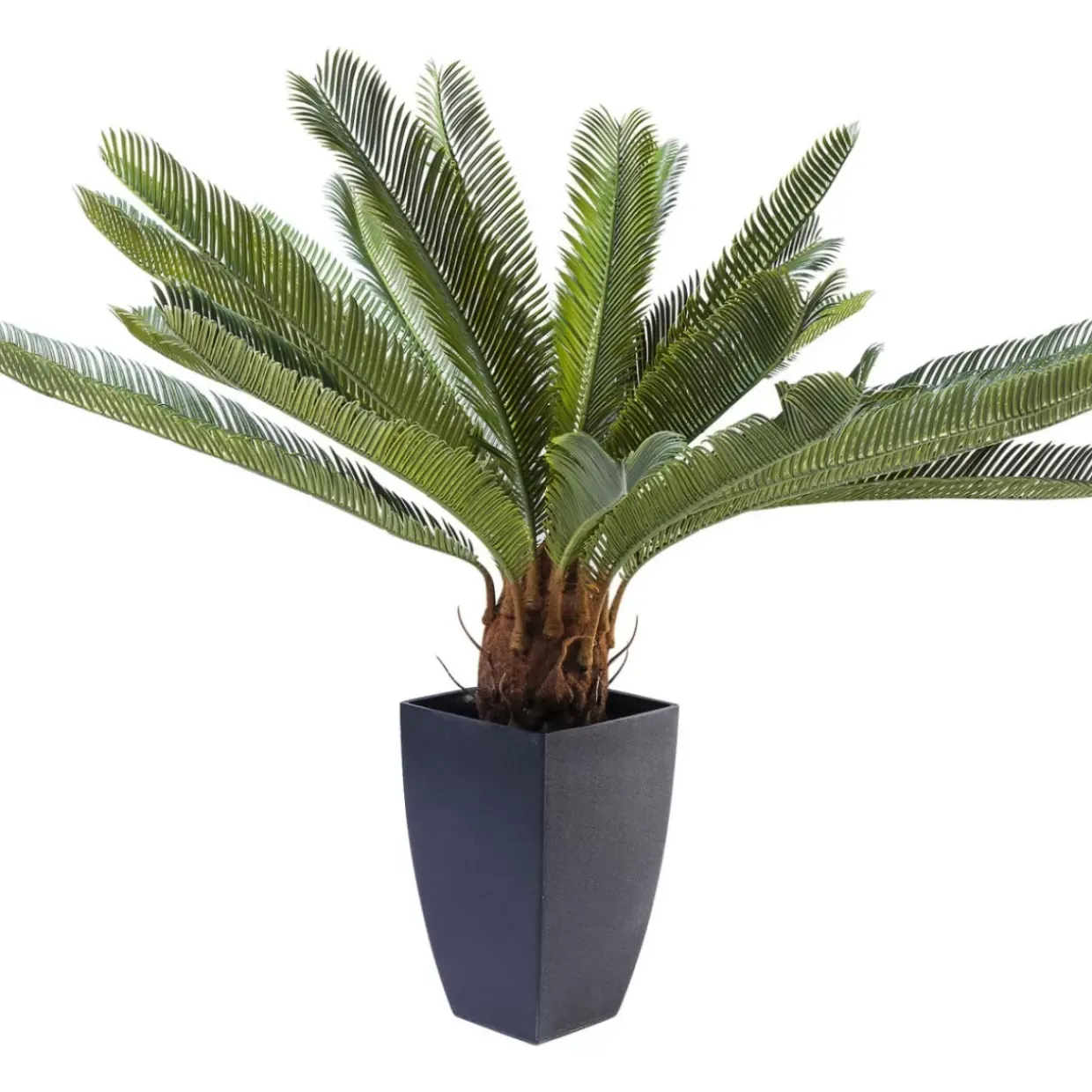 Deko Pflanze Cycas Tree 78Cm