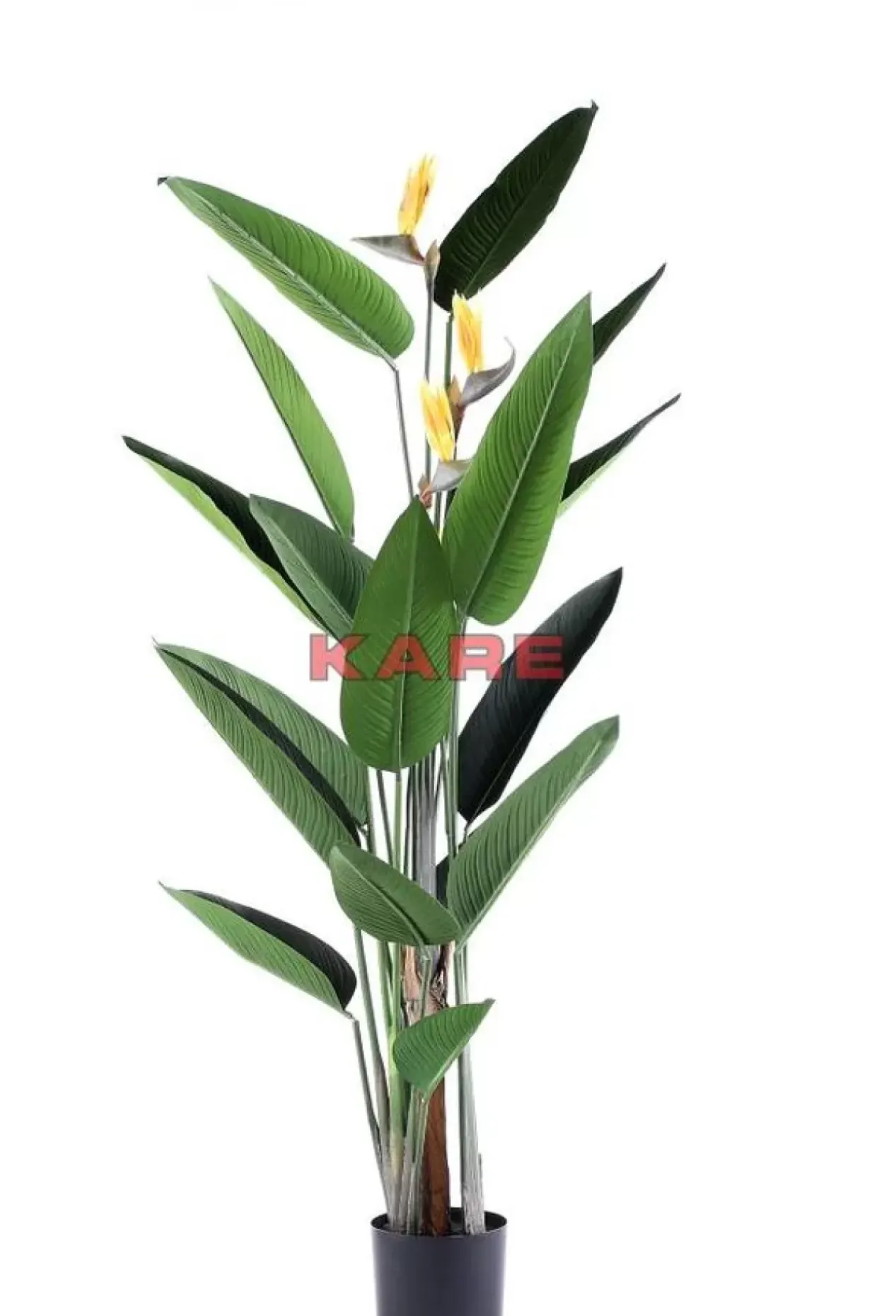 Deko Pflanze Paradise Flowers 190