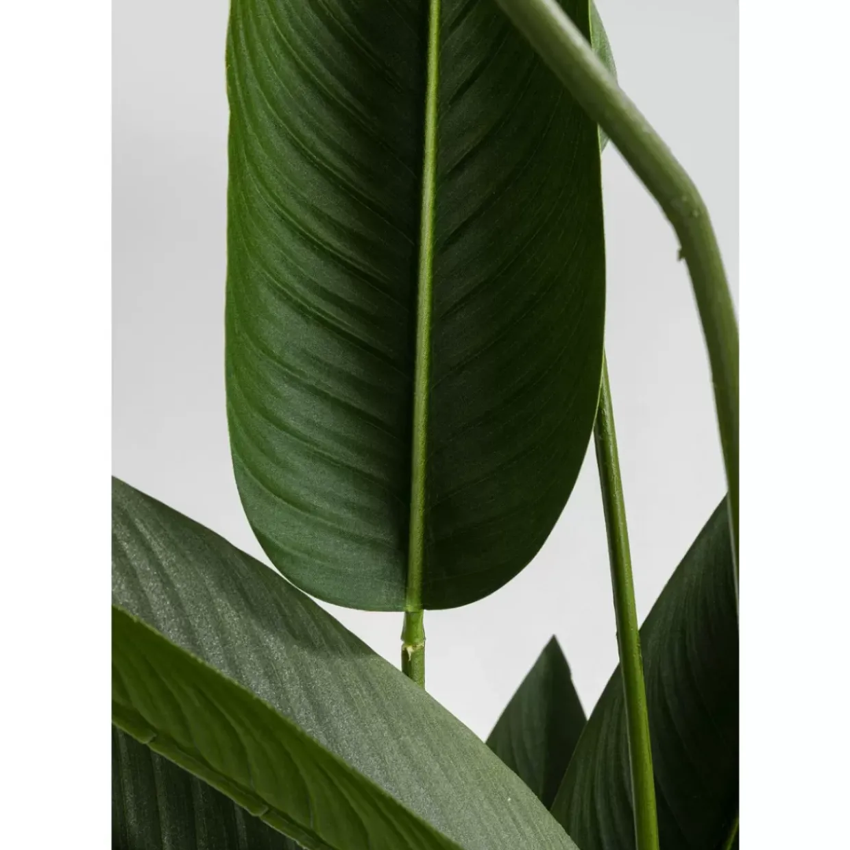 Deko Pflanze Paradise Flowers 190