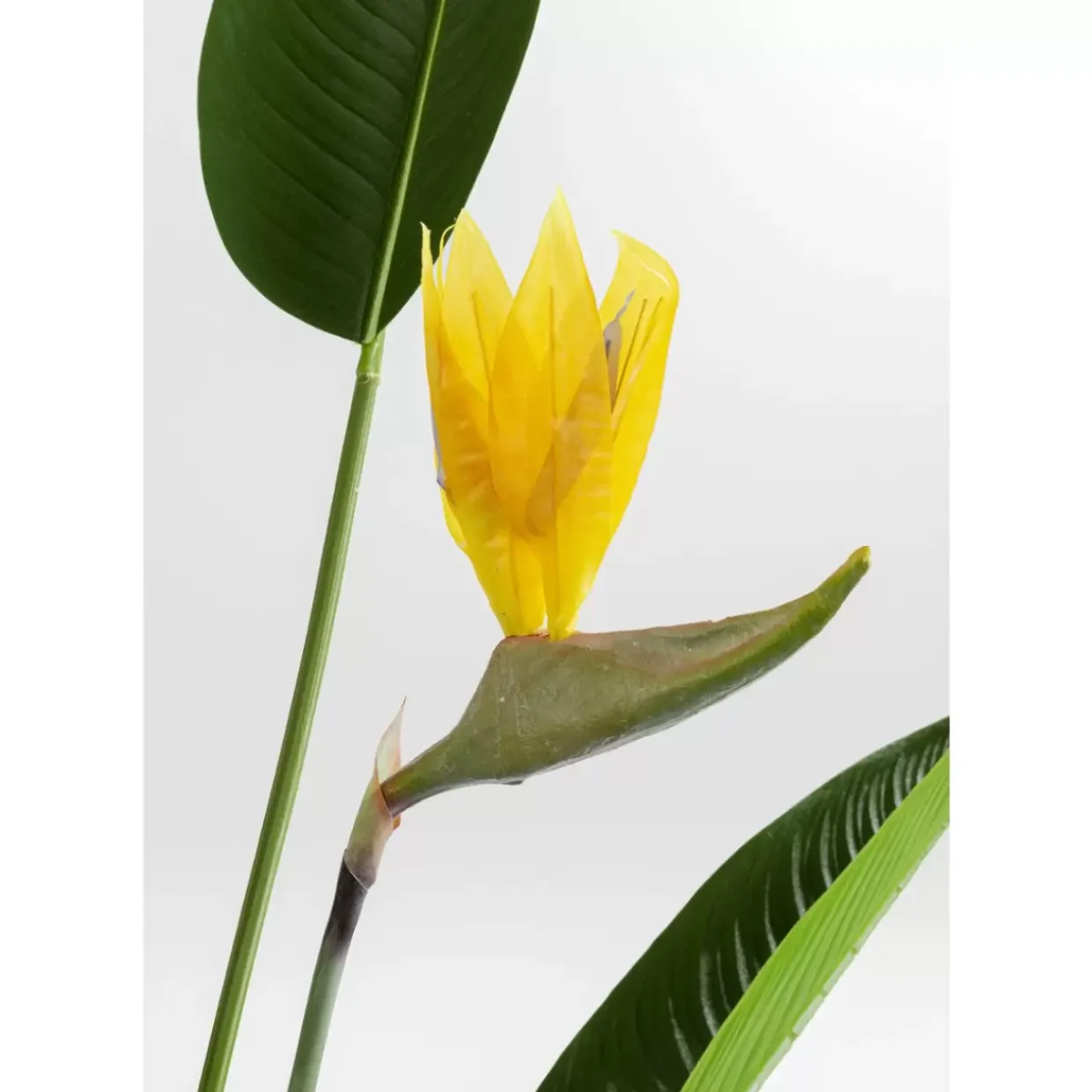 Deko Pflanze Paradise Flowers 190