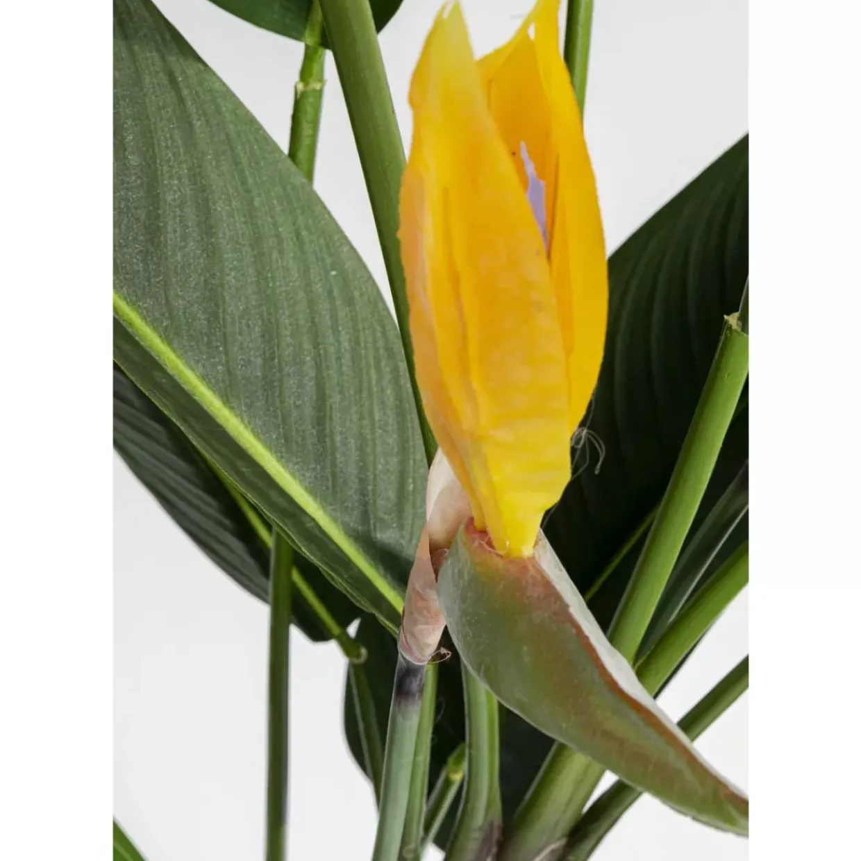 Deko Pflanze Paradise Flowers 190