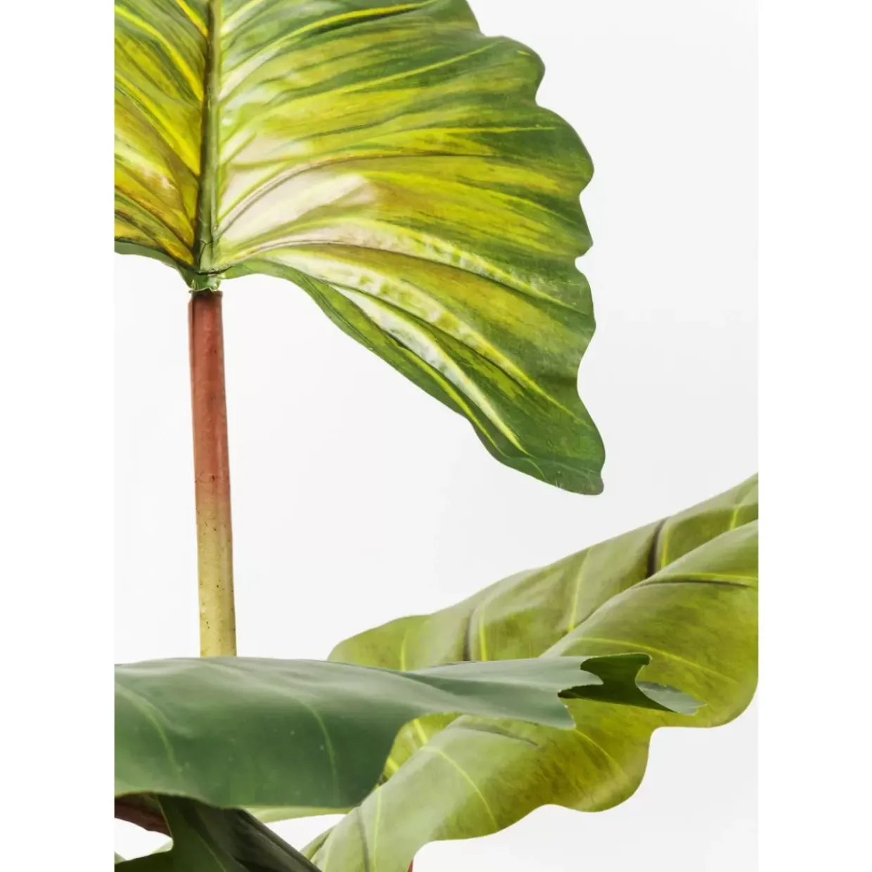 Deko Pflanze Rainforest Green 160Cm