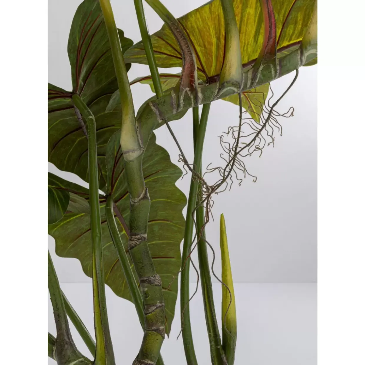 Deko Pflanze Taro 180