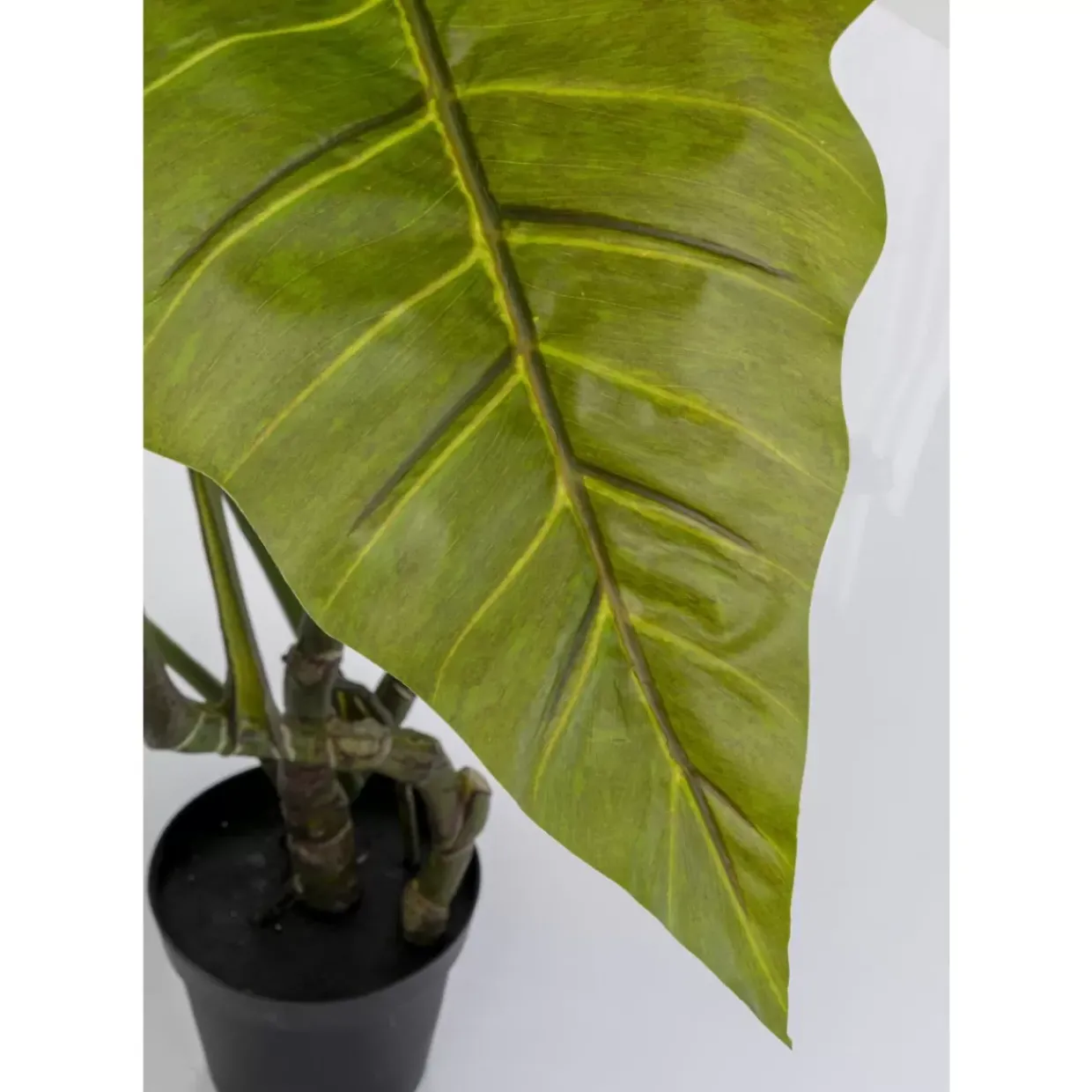 Deko Pflanze Taro 180