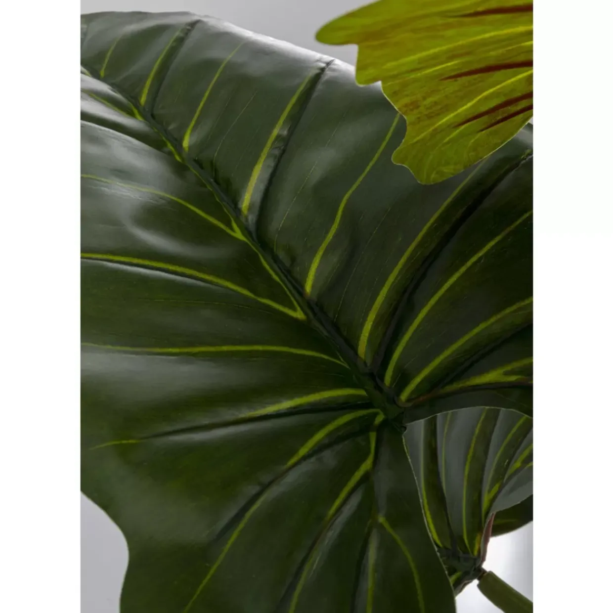 Deko Pflanze Taro 180