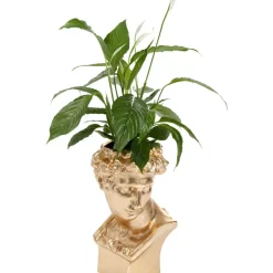 Deko Ubertopf David Gold