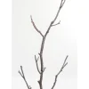Garderobenstander Tree Branch 183Cm