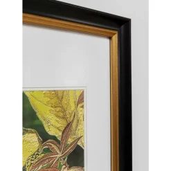 Gerahmtes Bild Birds In Jungle 80X100Cm