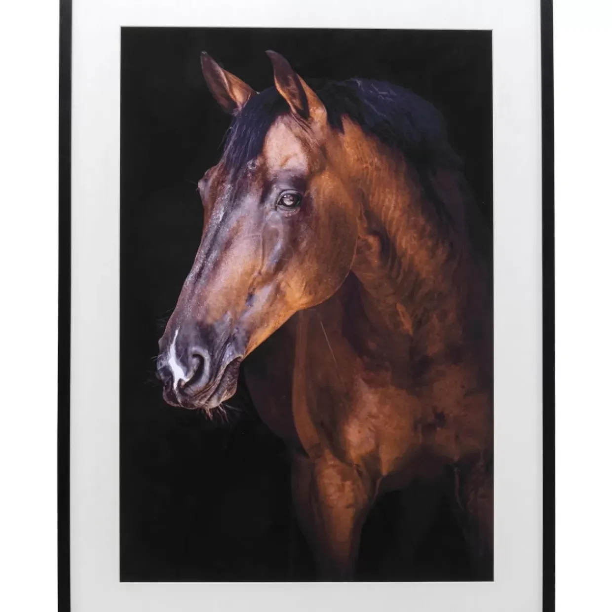 Gerahmtes Bild Wendy 75X105Cm