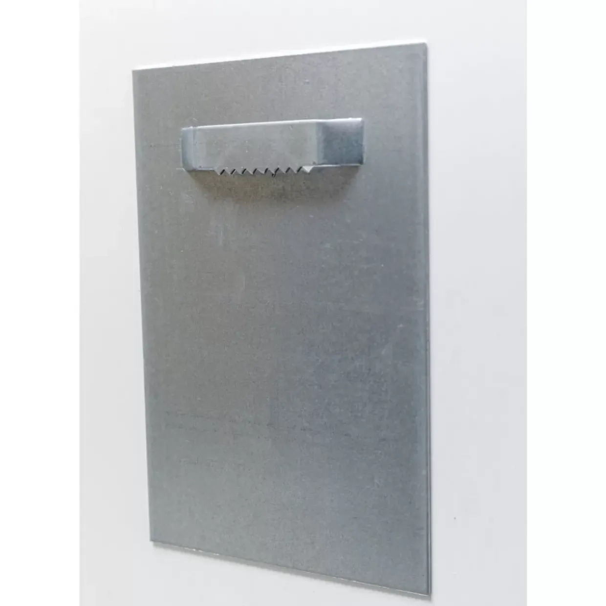 Glasbild Aqua Queen Fish 100X100Cm