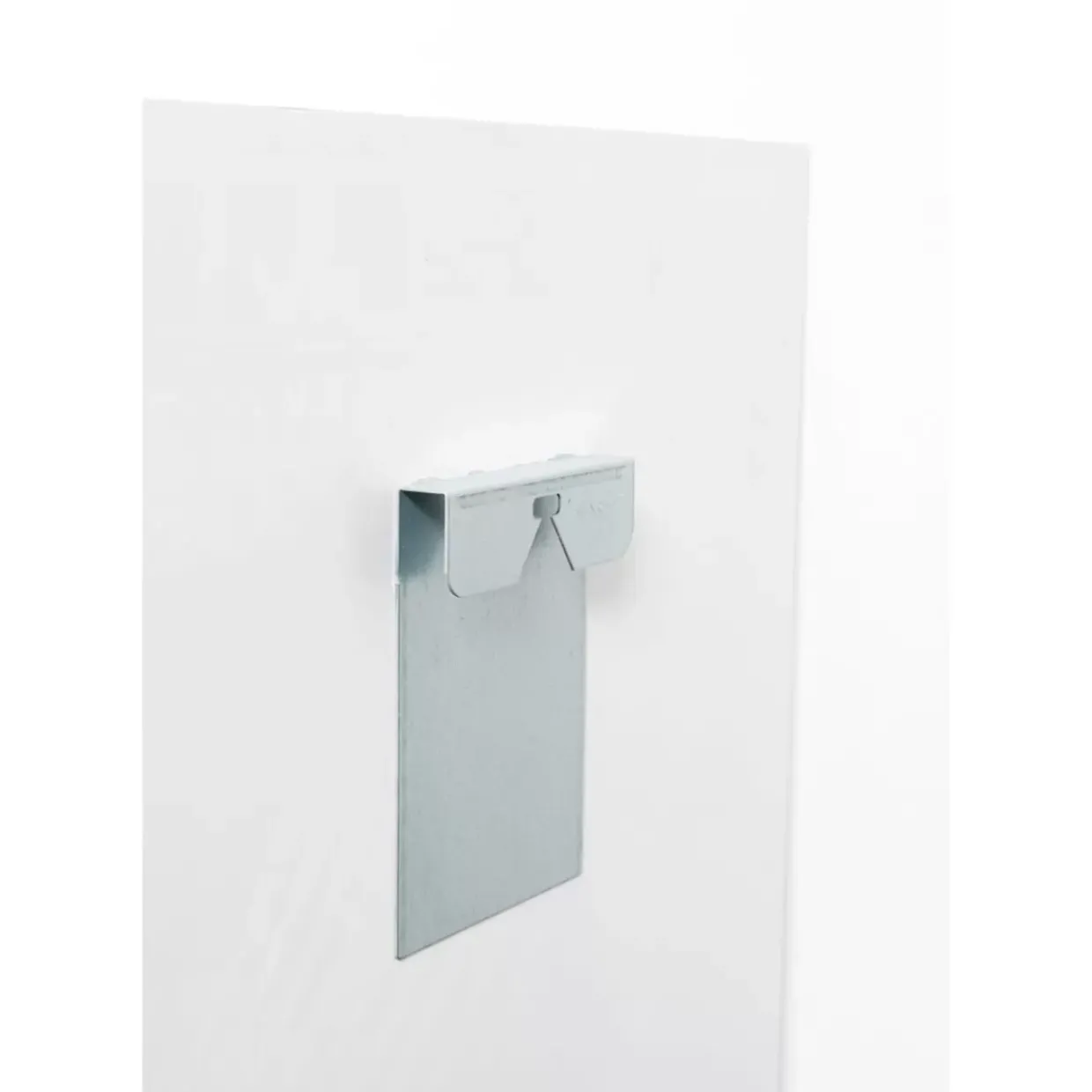 Glasbild Beetle Flower 100X100Cm