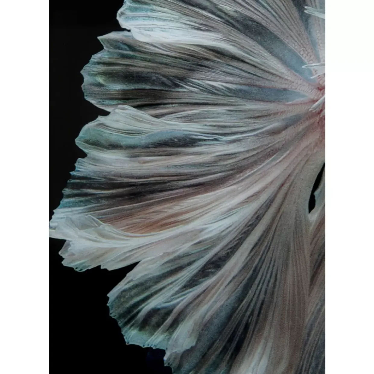 Glasbild Colorful Swarm Fish 120X120Cm