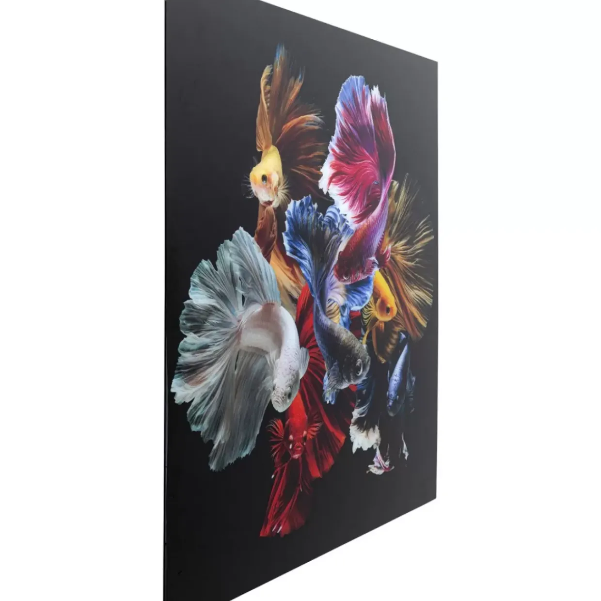 Glasbild Colorful Swarm Fish 120X120Cm