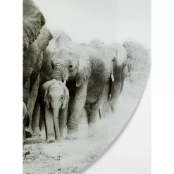Glasbild Elephant Walk O120Cm