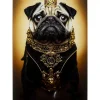 Glasbild Prince Pug 40X60Cm