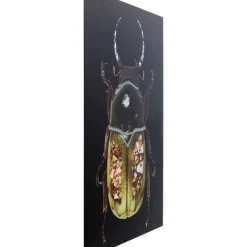 Glasbild Shiney Dung Beetle 80X120Cm