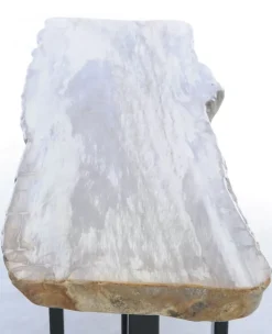 Konsole Alfredo Versteinertes Holz