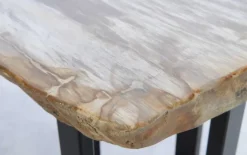 Konsole Alfredo Versteinertes Holz