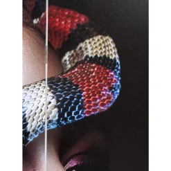 Paravent Royal Headdress Vs Snake Girl 120X180Cm