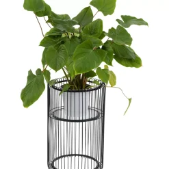 Pflanzenstander Wire Schwarz 57Cm