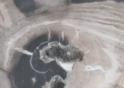 Platte Kristalmeer Versteinertes Holz