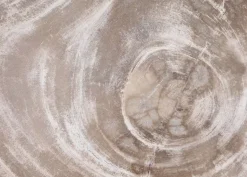 Platte Magisch Versteinertes Holz