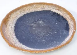 Platte Stone Age Versteinertes Holz