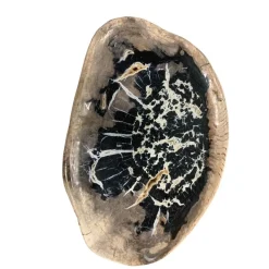 Platte Windmolen Versteinertes Holz