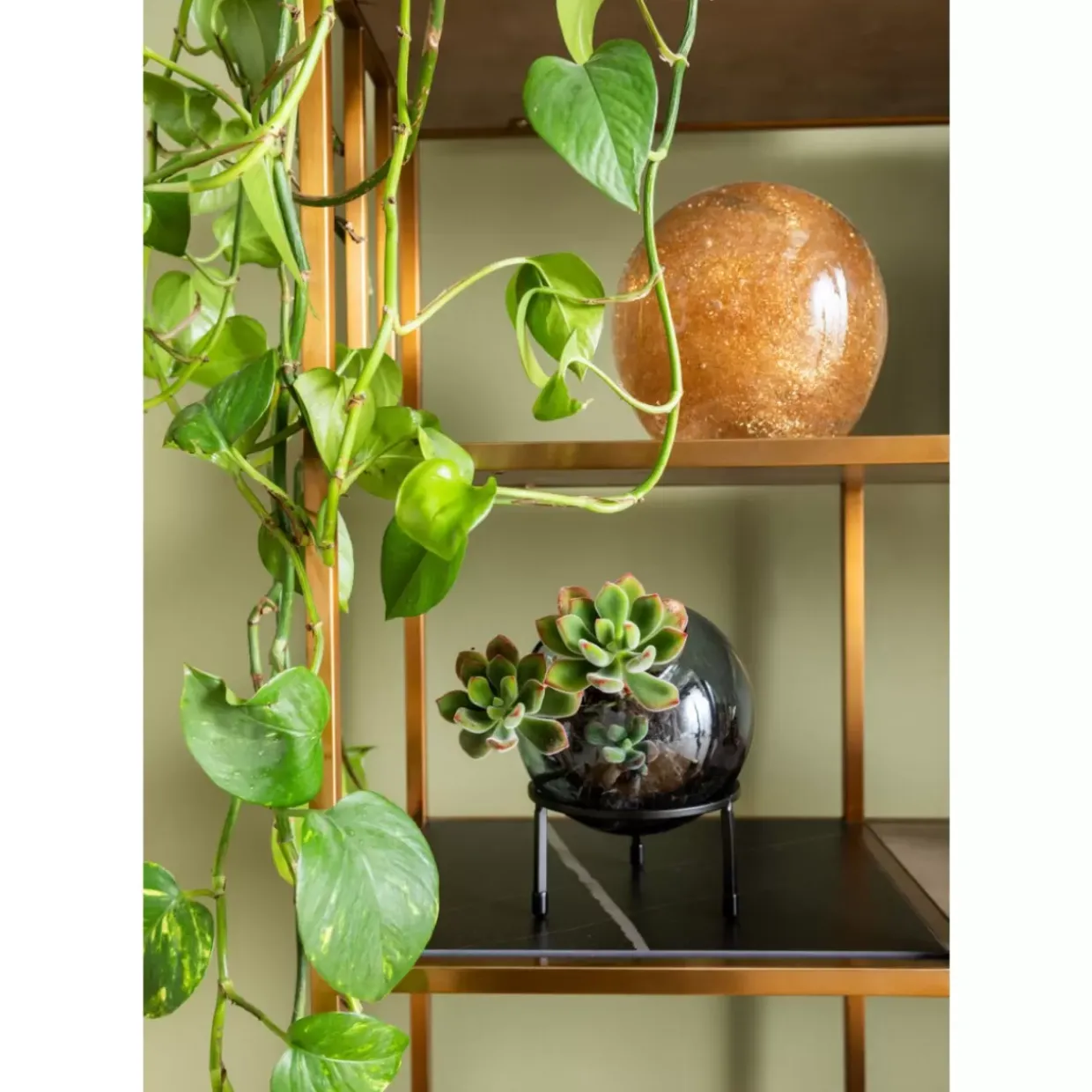 Regal Cesaro 90X170Cm