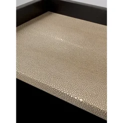 Regal Milano 80X170Cm