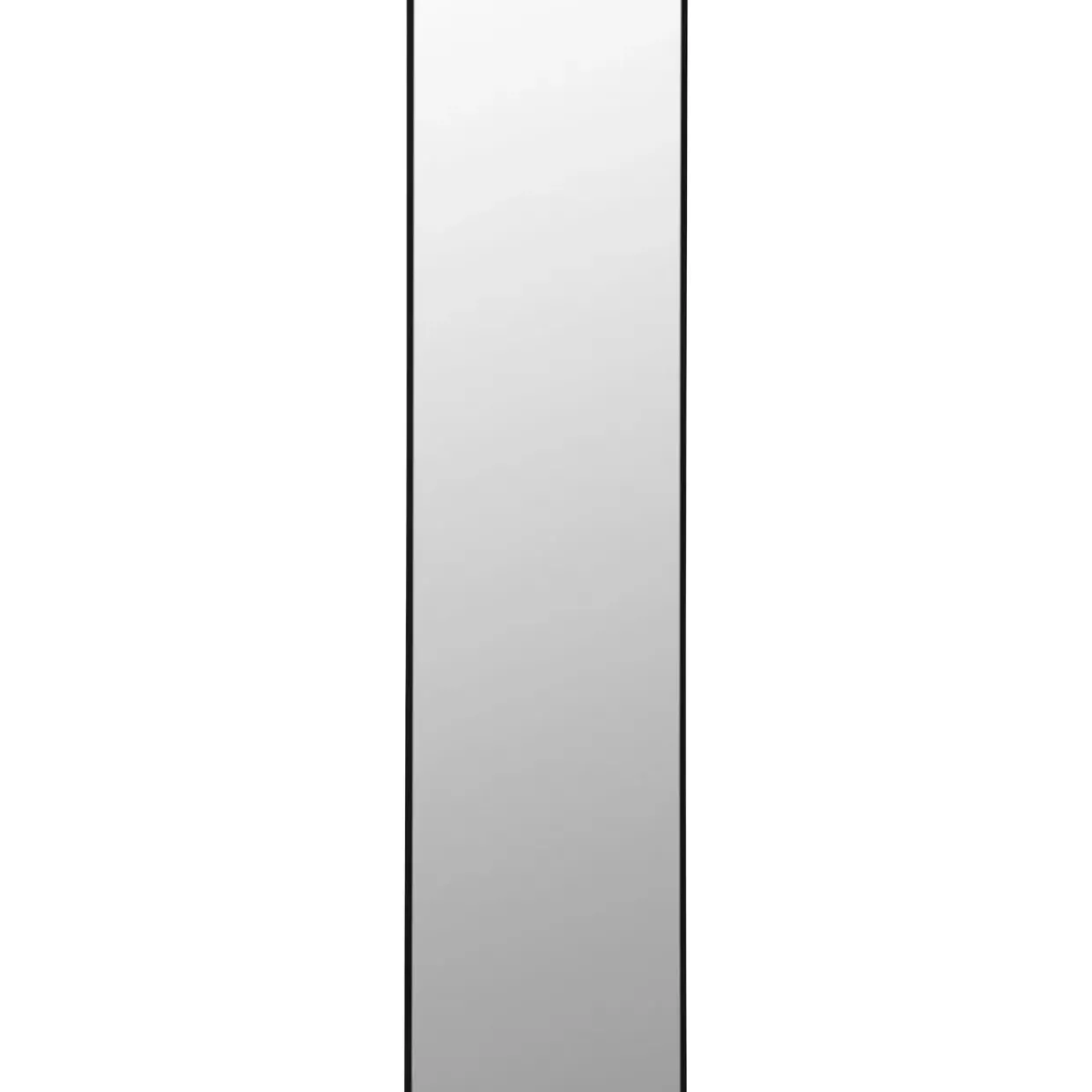 Spiegel Bella Mo 30X180Cm