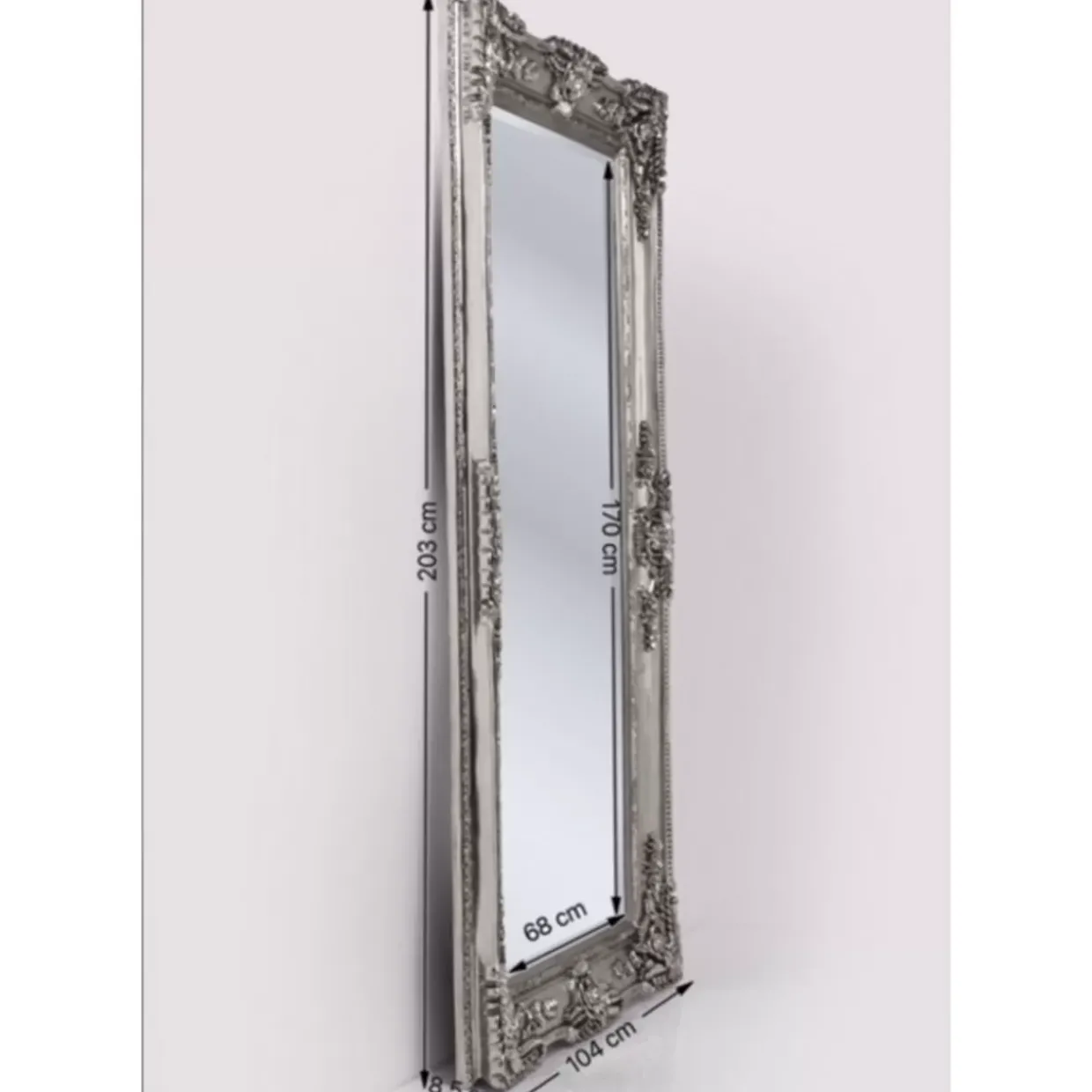 Spiegel Royal Residence 203X104Cm