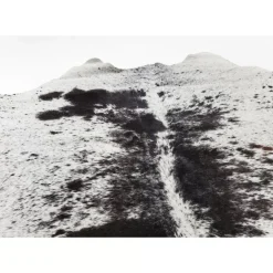 Teppich Hide Schwarz-Weis