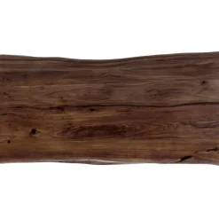 Tisch Harmony Dunkel Rohstahl 200X100