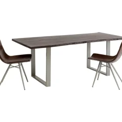 Tisch Harmony Dunkel Silber 200X100